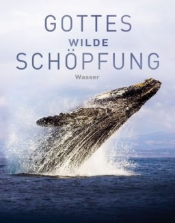 Gottes wilde Schöpfung: Wasser