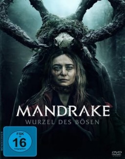 Mandrake