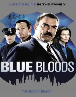  Blue Bloods staffel 2 