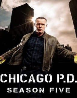  Chicago P.D. staffel 5 