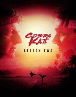  Cobra Kai staffel 2 