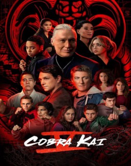 Cobra Kai stream 