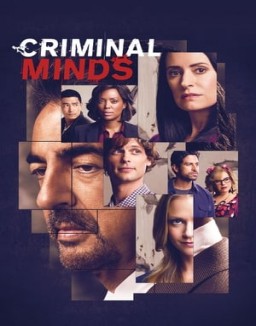  Criminal Minds staffel 1 