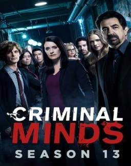  Criminal Minds staffel 13 