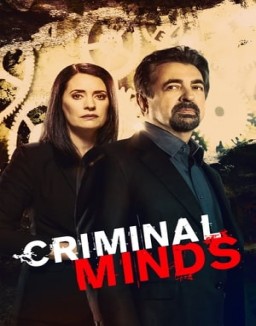  Criminal Minds staffel 15 