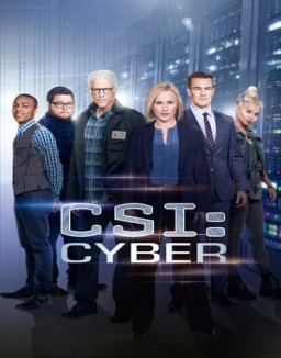  CSI: Cyber staffel 1 