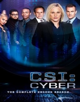 CSI: Cyber stream 