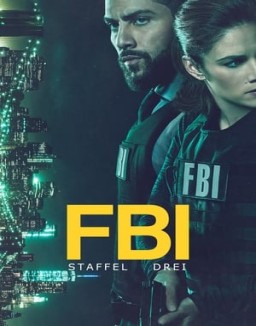  FBI staffel 3 