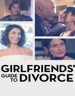  Girlfriends' Guide to Divorce staffel 1 