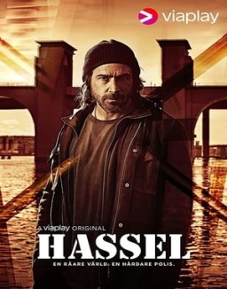 Hassel stream 