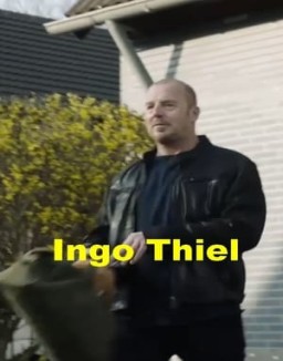 Ingo Thiel stream 