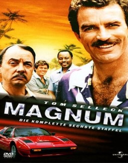  Magnum staffel 6 