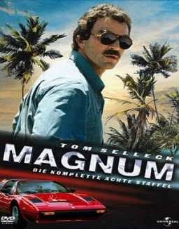 Magnum stream 