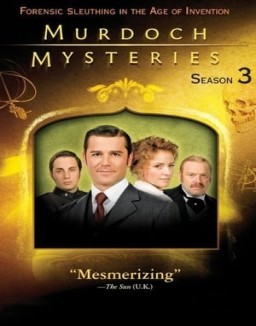  Murdoch Mysteries staffel 3 