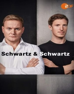 Schwartz & Schwartz stream 