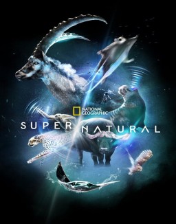 Super/Natural (2022) stream 