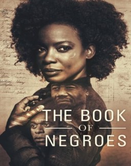 The Book of Negroes stream 