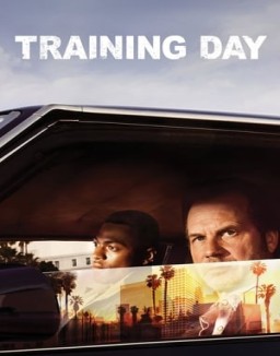 Training Day stream 