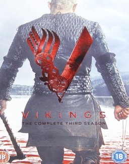  Vikings staffel 3 